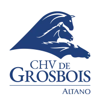 Logo CHV de Grosbois