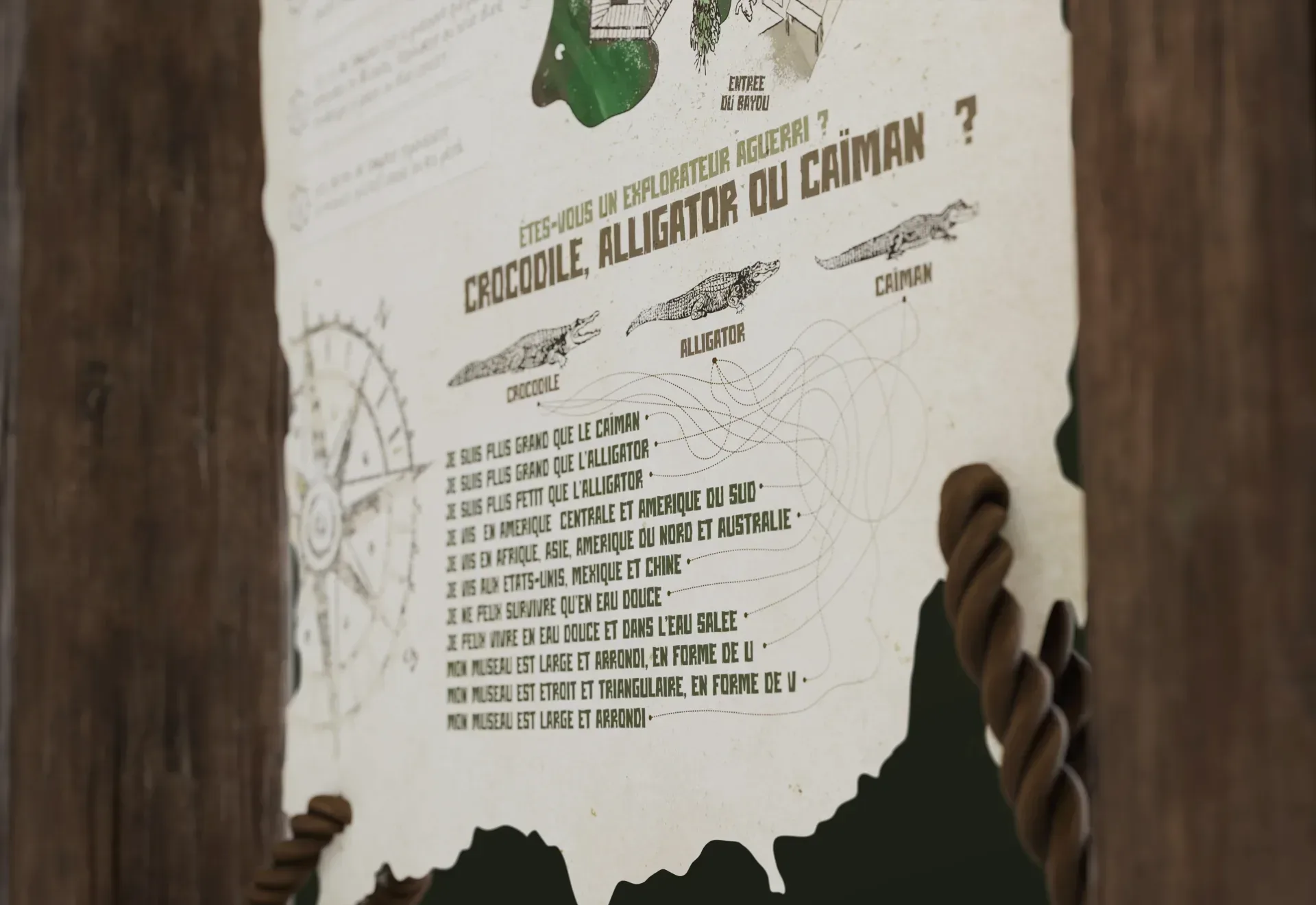 Graphiste freelance a Angers - Aventure au Bayou ! - visuel 16