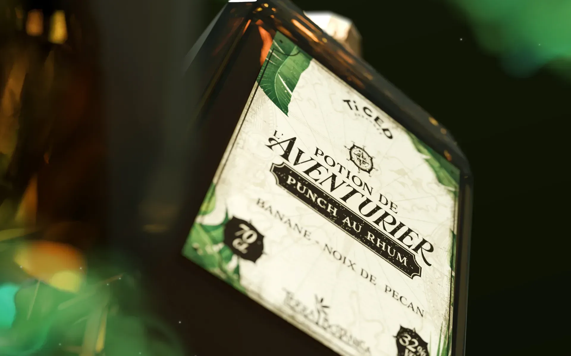 Graphiste freelance a Angers - Aventure au Bayou ! - visuel 22