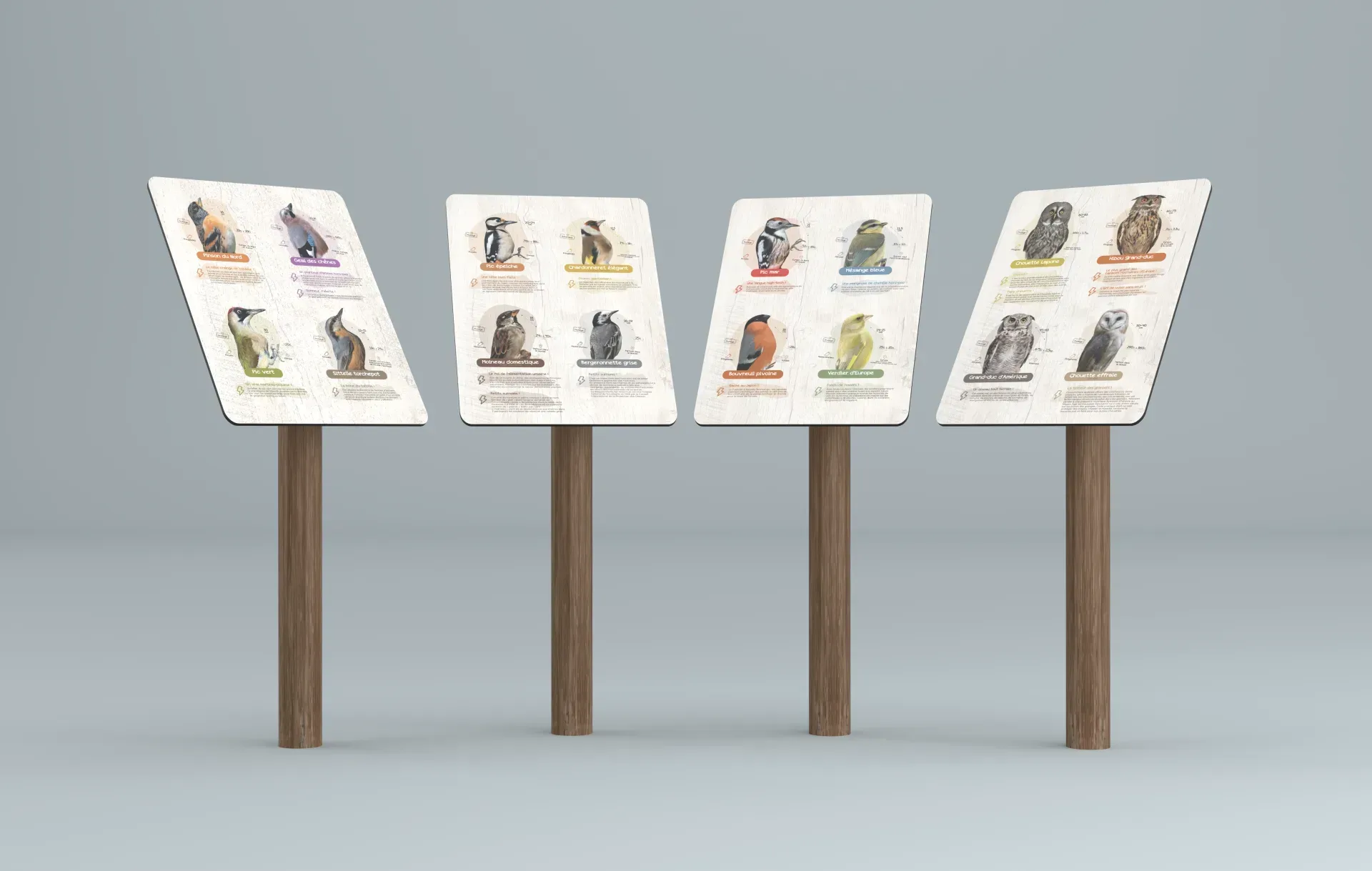 Graphiste freelance a Angers - La Canopée des oiseaux - visuel 11