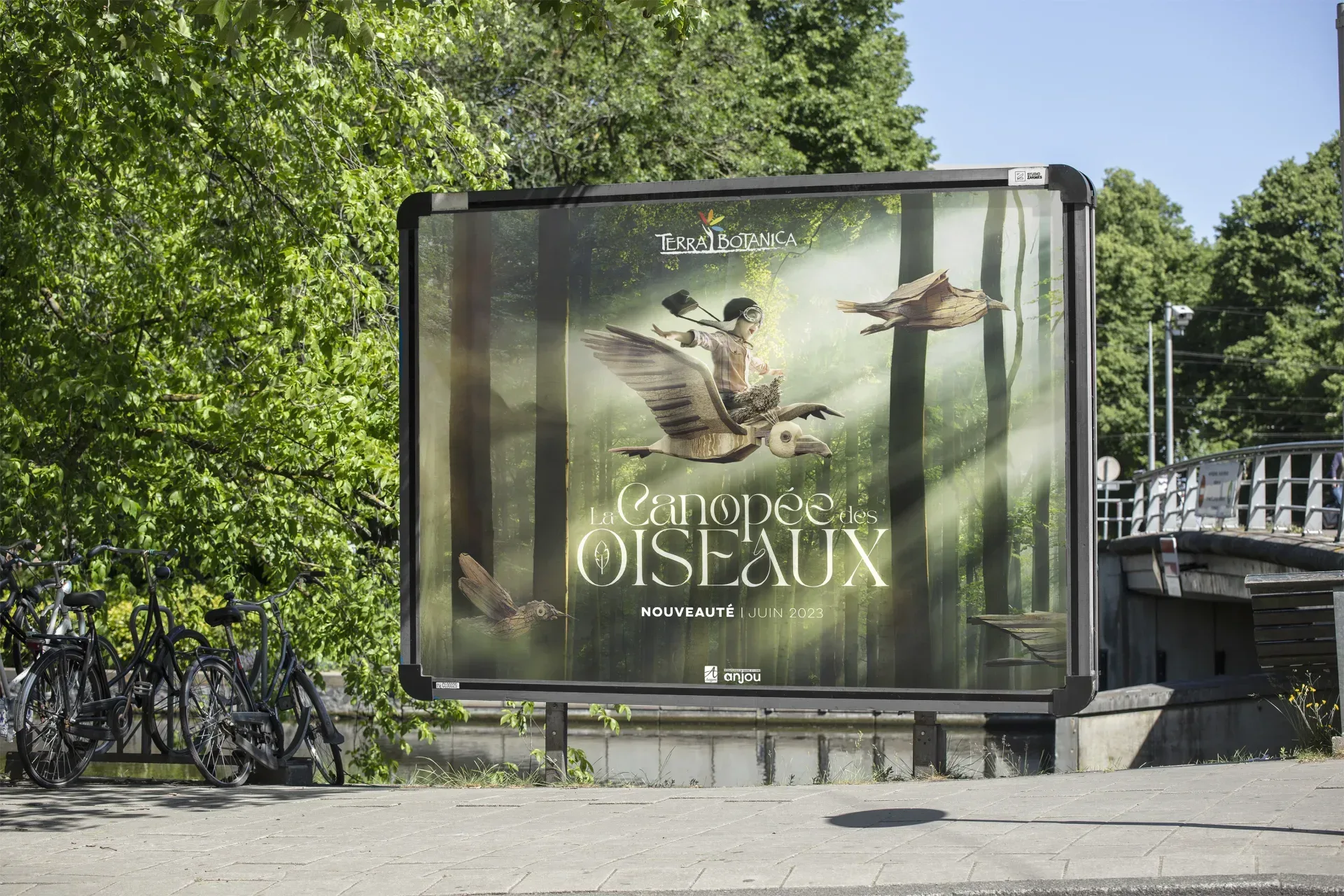 Graphiste freelance a Angers - La Canopée des oiseaux - visuel 4