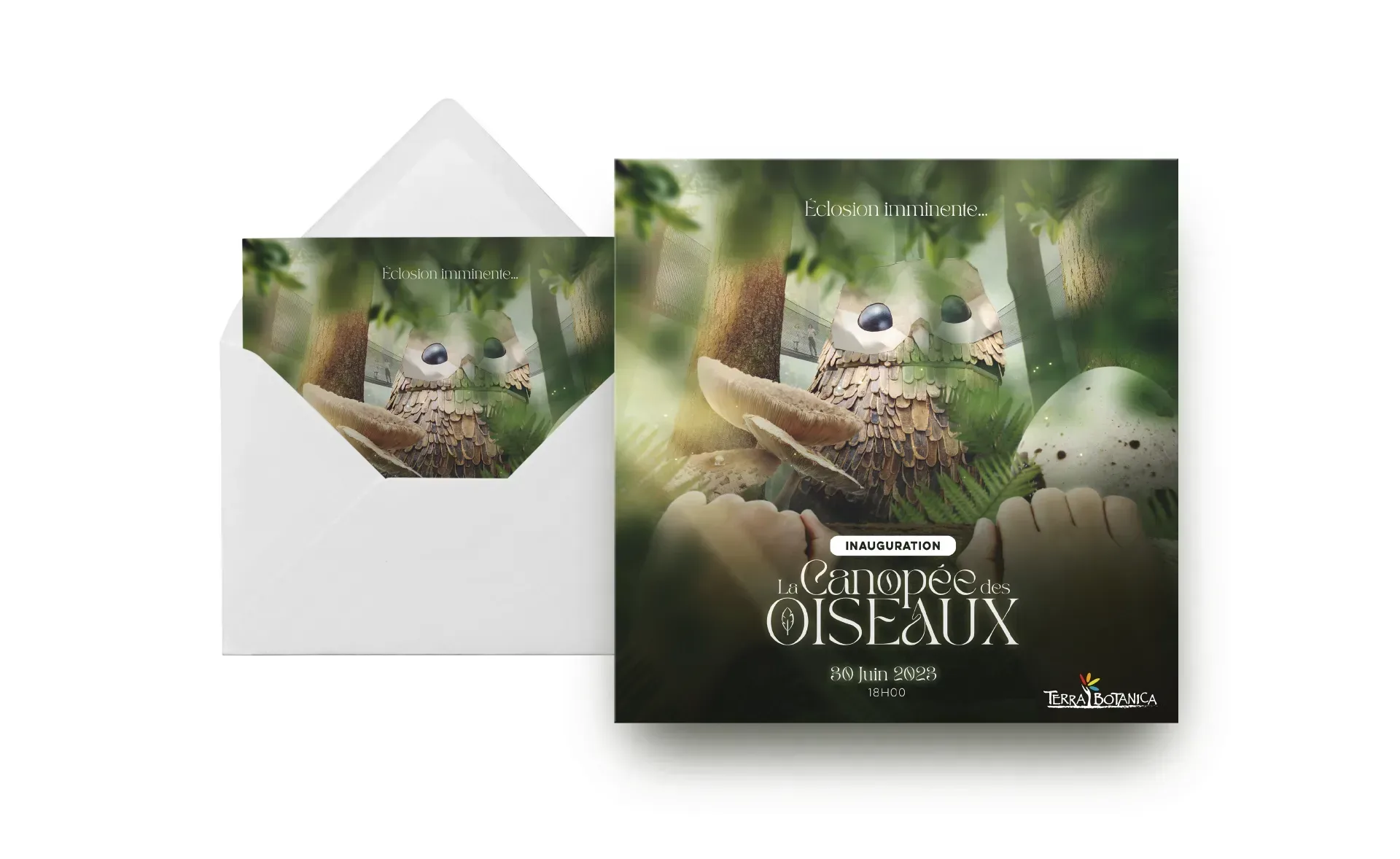 Graphiste freelance a Angers - La Canopée des oiseaux - visuel 8