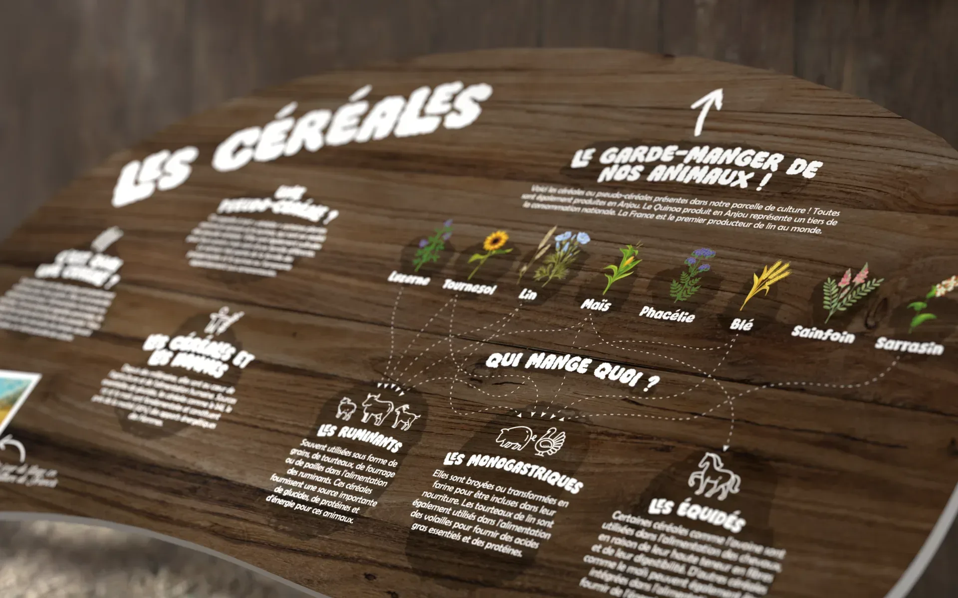 Graphiste freelance à Angers - La Clairière aux animaux - visuel 13