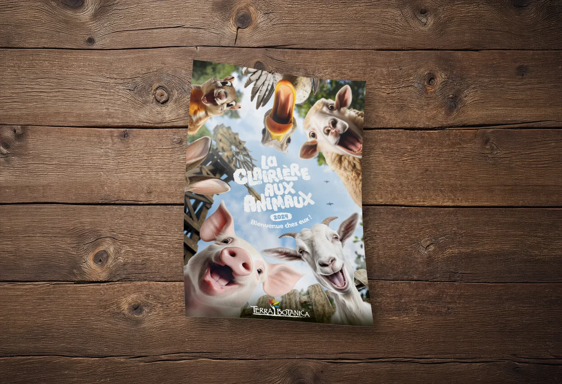 Graphiste freelance à Angers - La Clairière aux animaux - visuel 3