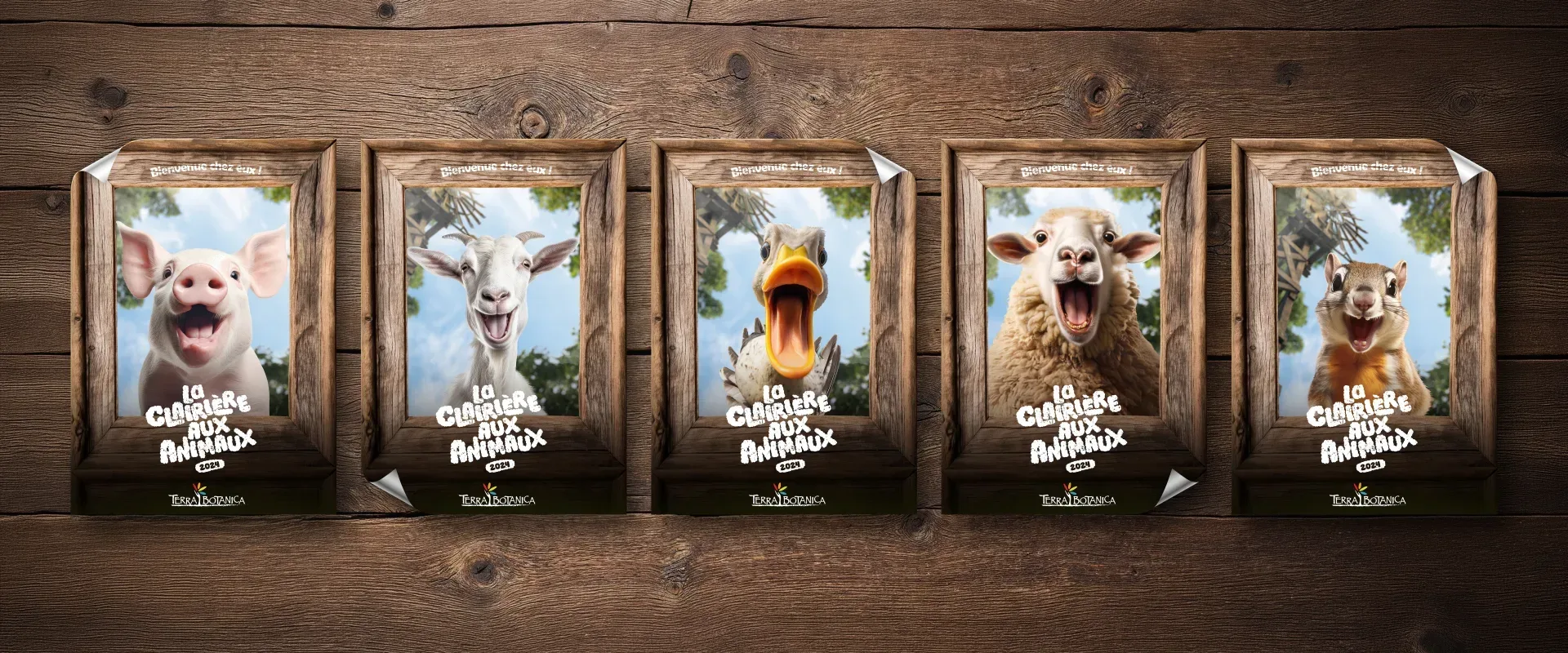 Graphiste freelance à Angers - La Clairière aux animaux - visuel 4