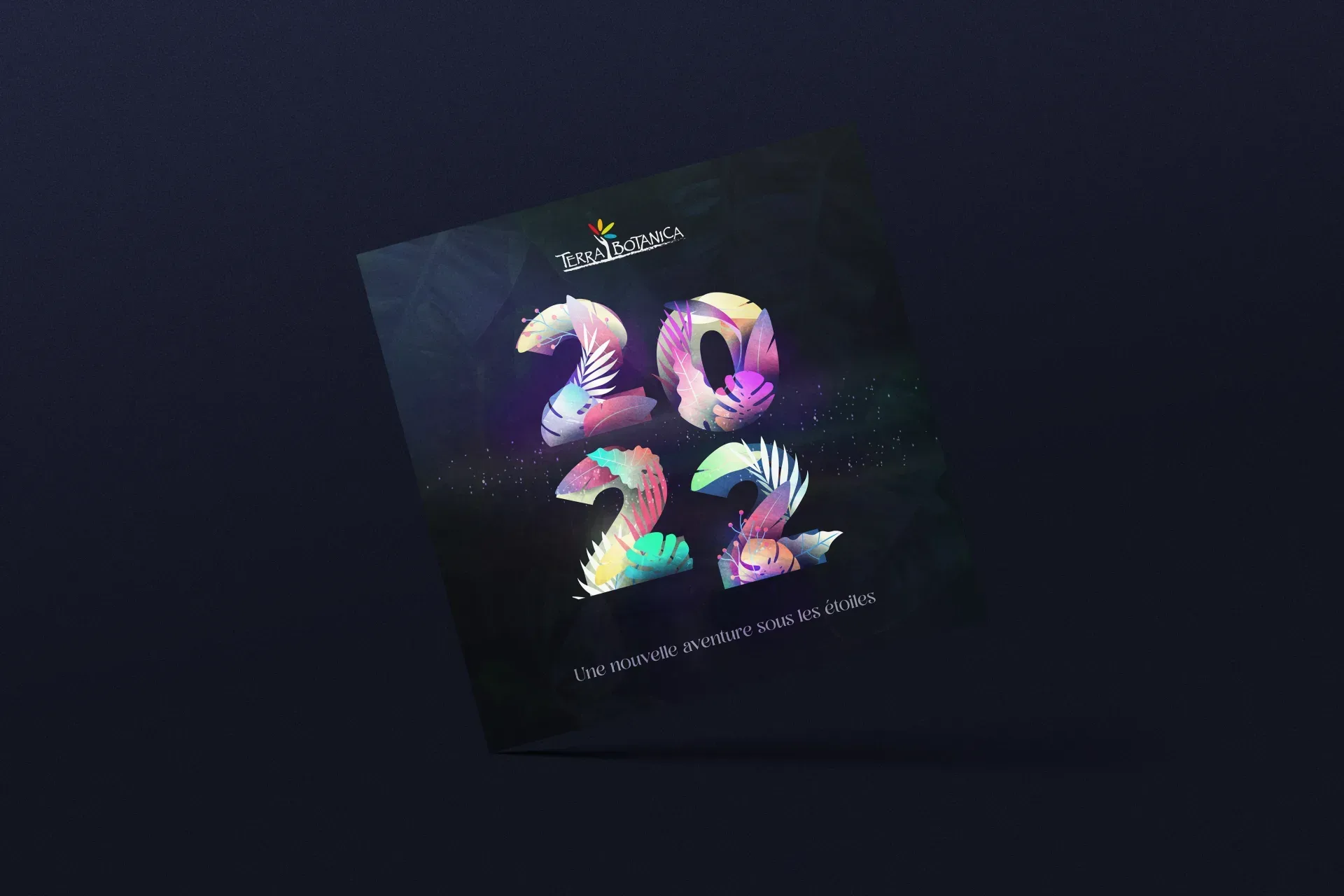 Graphiste freelance a Angers - Terra Nocta - visuel 12