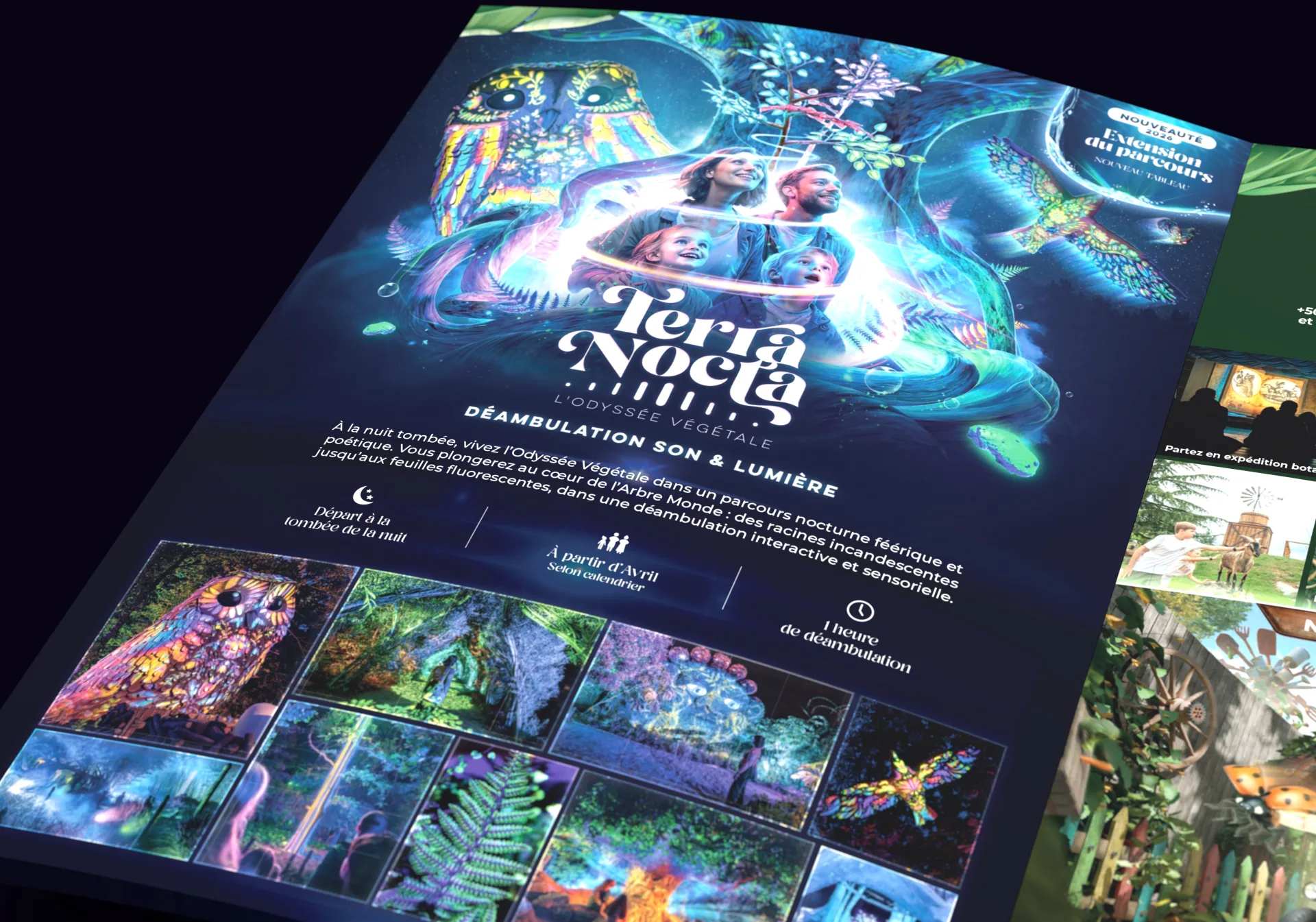 Graphiste freelance a Angers - Terra Nocta 2026 - visuel 10