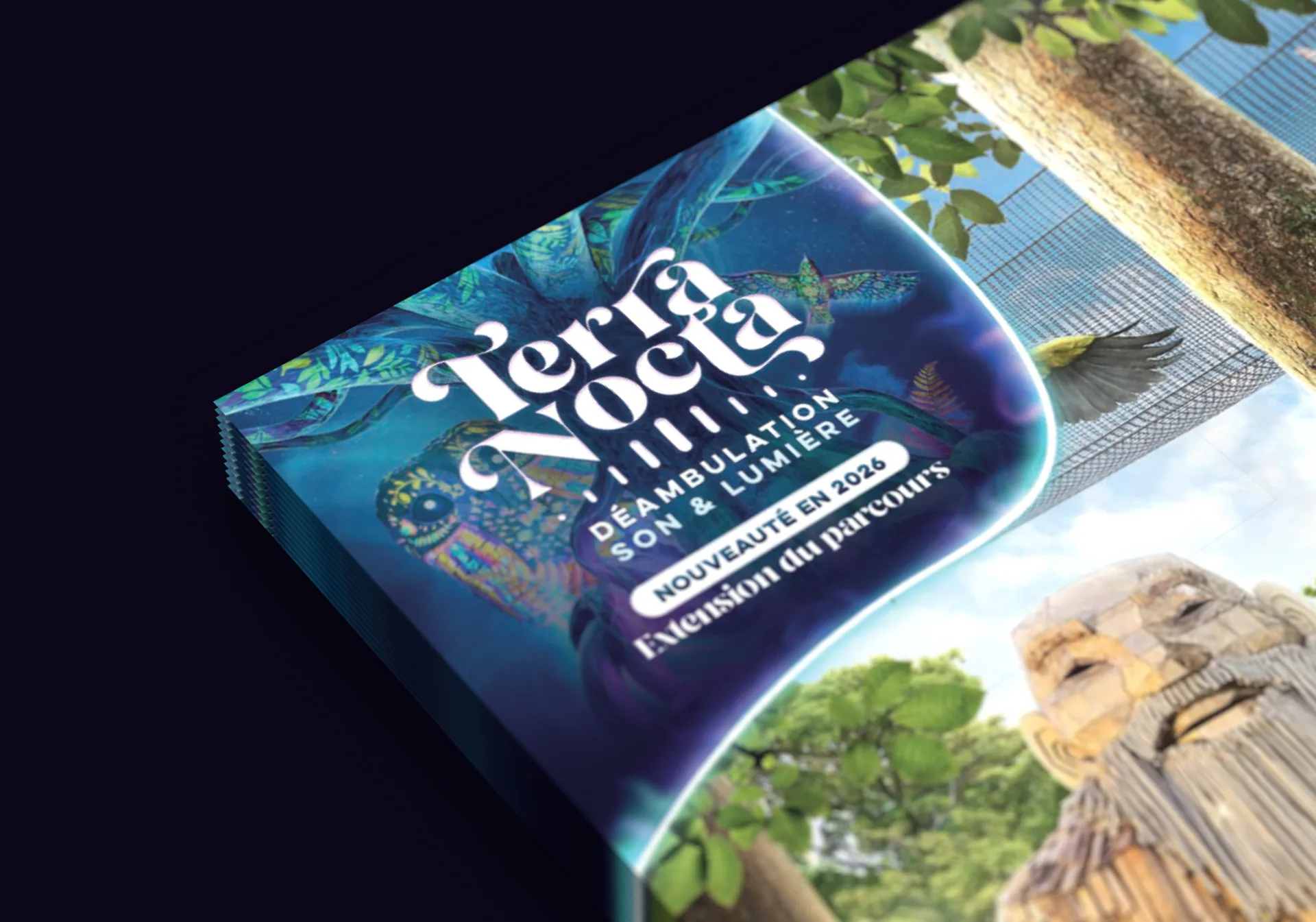 Graphiste freelance a Angers - Terra Nocta 2026 - visuel 11