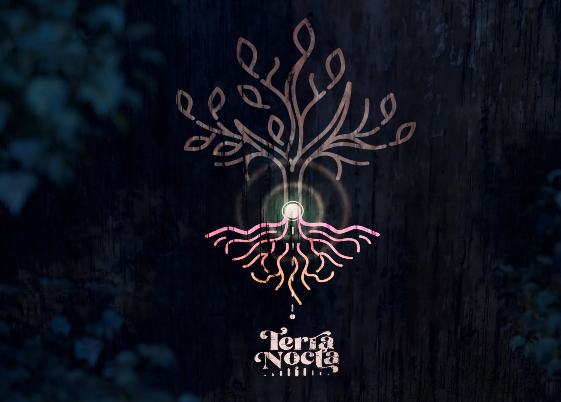 Graphiste freelance a Angers - Terra Nocta 2026 - visuel 17