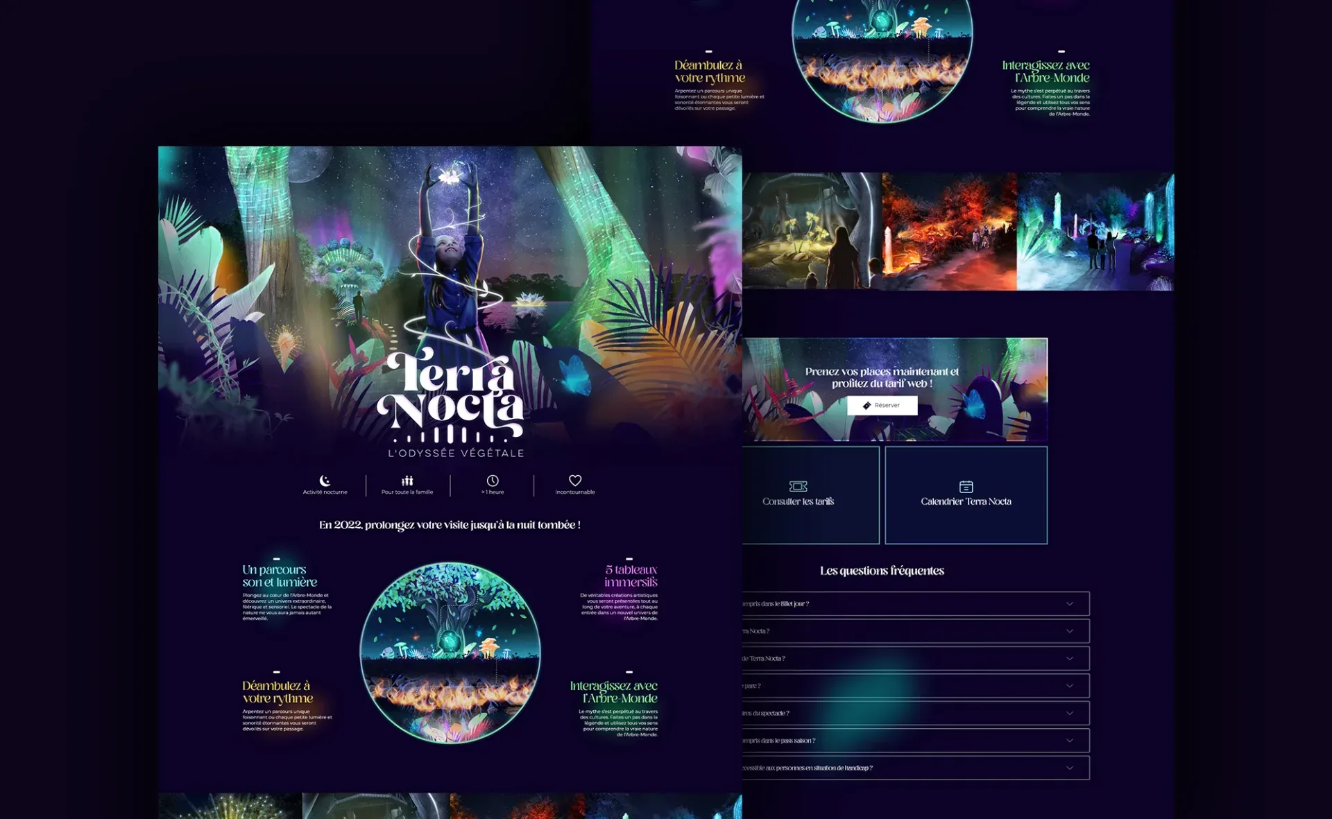 Graphiste freelance a Angers - Terra Nocta - visuel 4