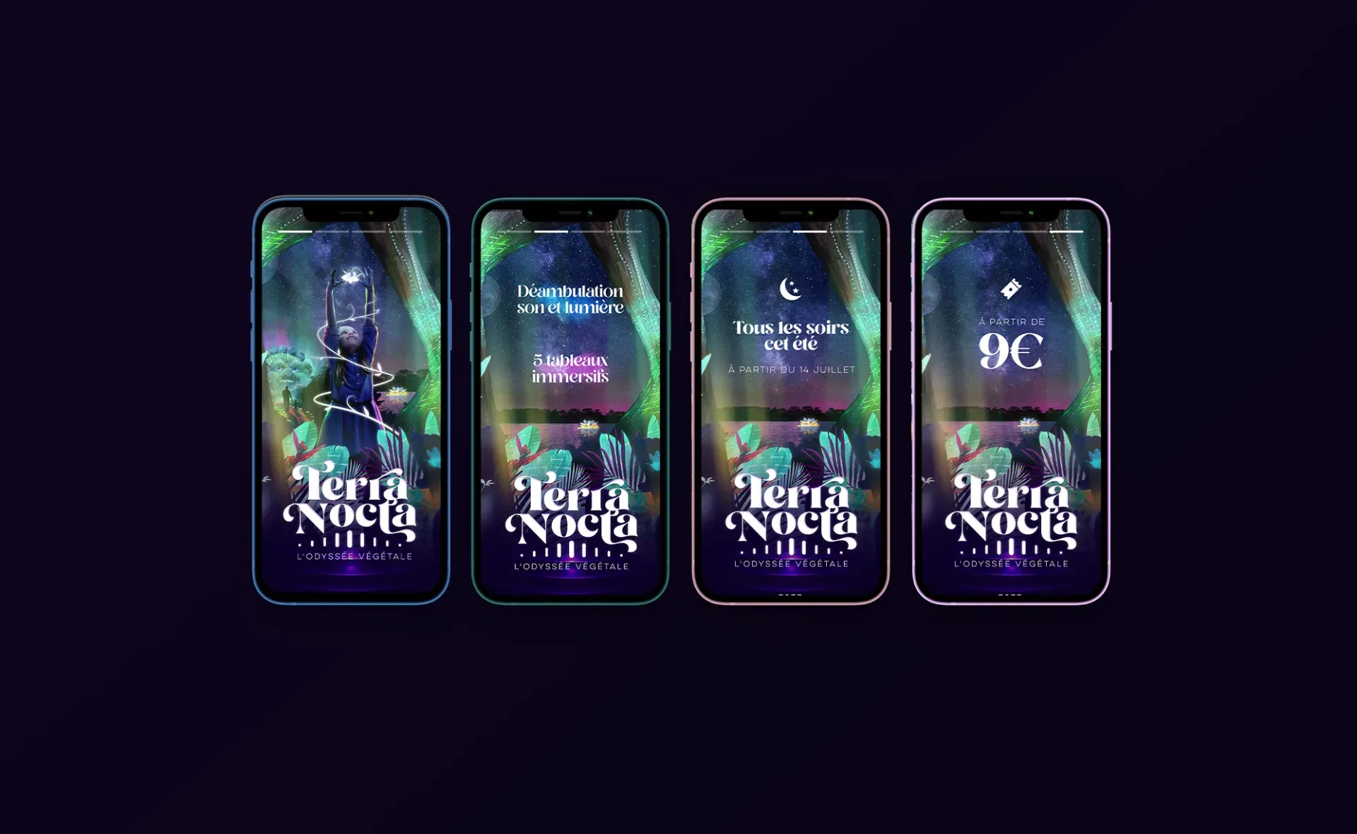Graphiste freelance a Angers - Terra Nocta - visuel 6